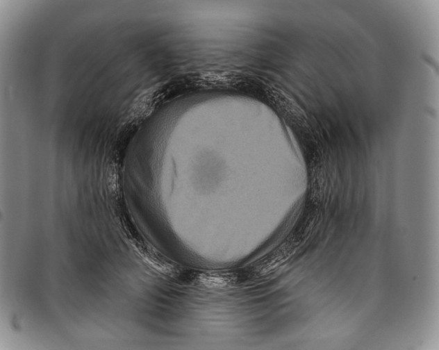 X0000097990706200804141142