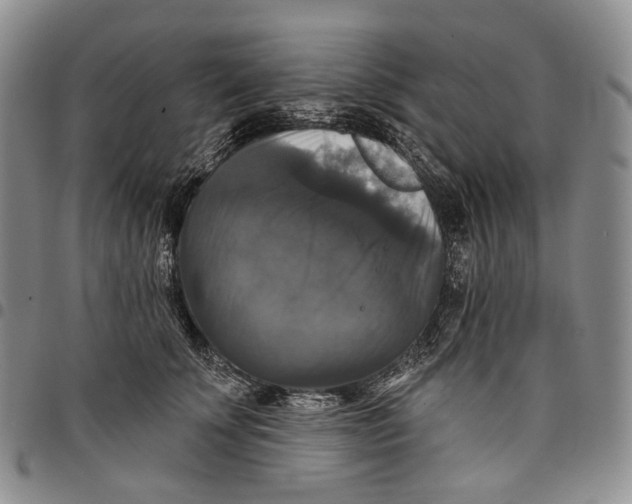 X0000097990707200804141142