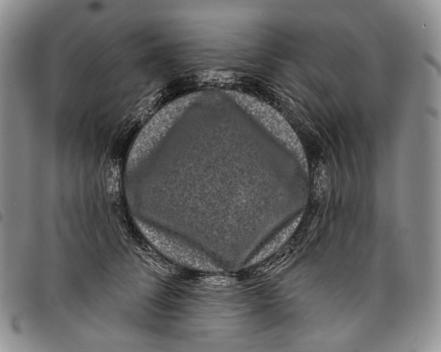 X0000097990708200804141142