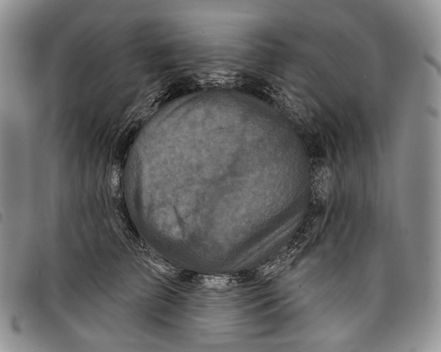 X0000097990709200804141142