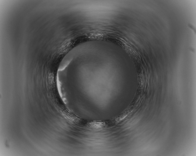 X0000097990711200804141142
