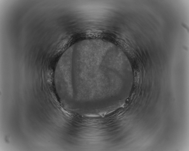X0000097990712200804141142