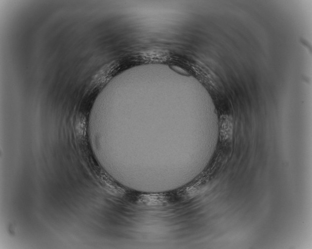 X0000097990713200804141142
