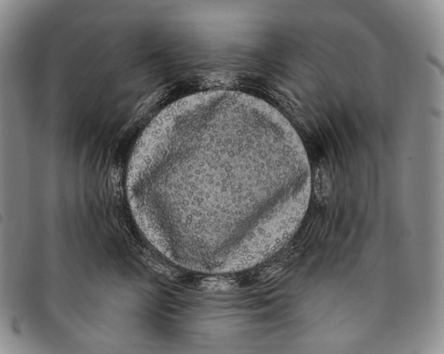 X0000097990714200804141142