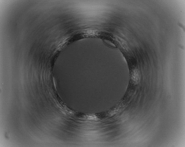 X0000097990715200804141142