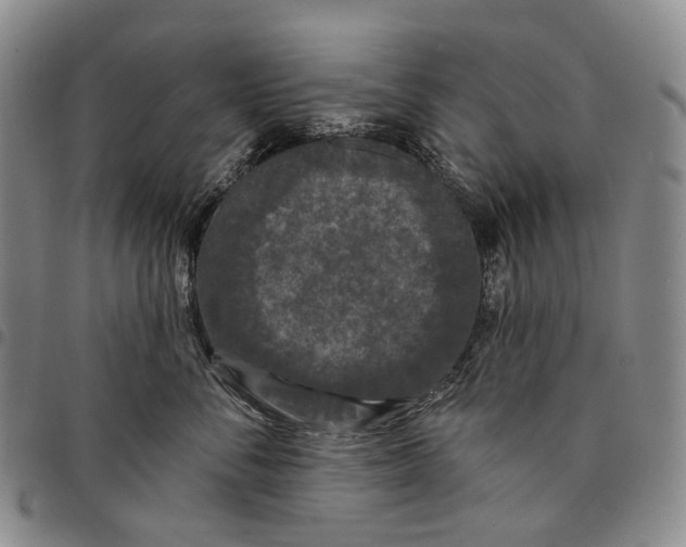 X0000097990716200804141142