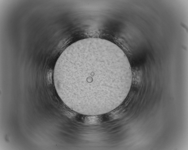 X0000097990717200804141142