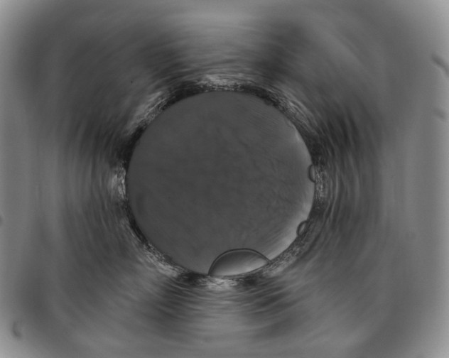 X0000097990718200804141142