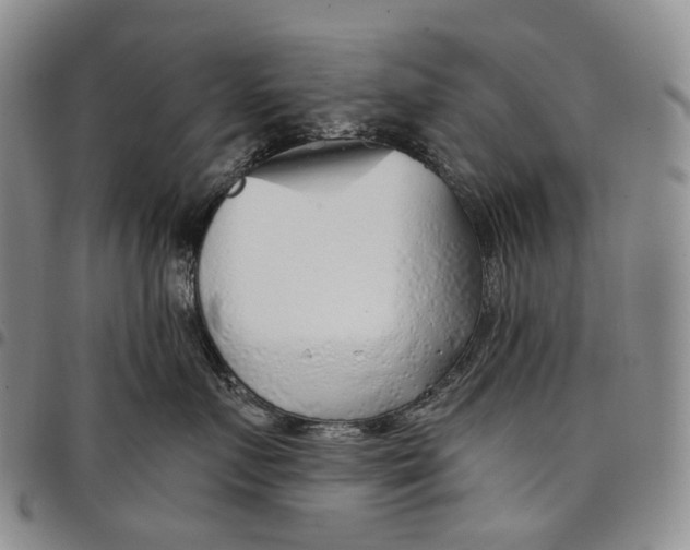 X0000097990719200804141142