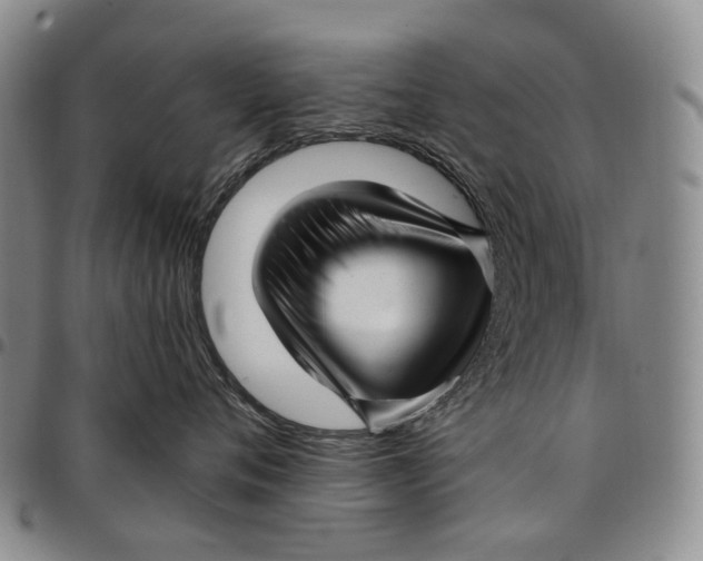 X0000097990720200804141142