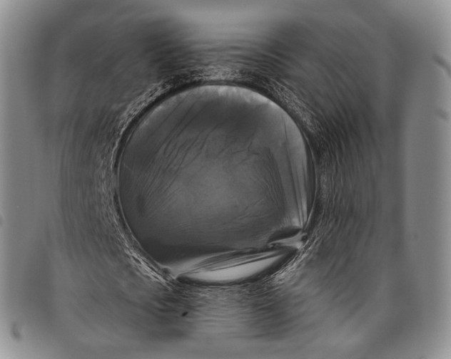 X0000097990721200804141141