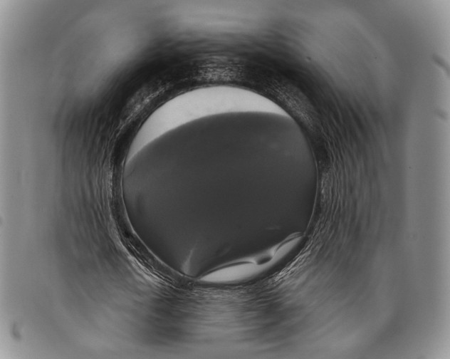 X0000097990722200804141141
