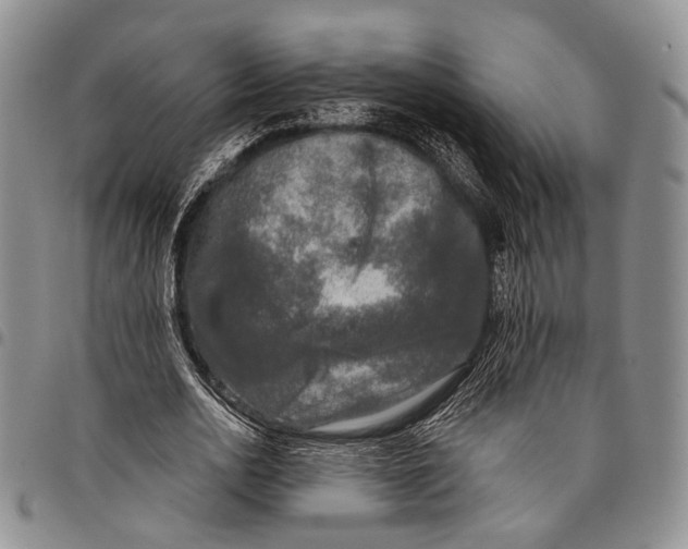 X0000097990726200804141141