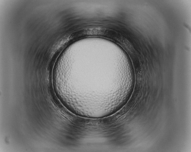 X0000097990727200804141141
