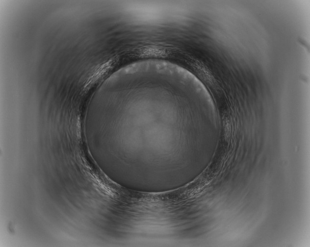 X0000097990729200804141141