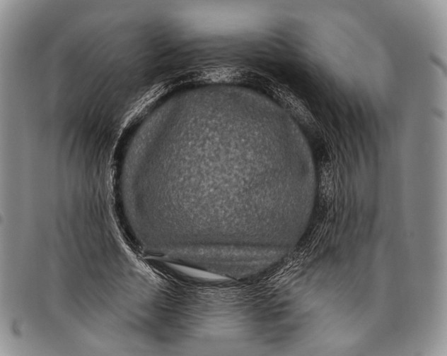 X0000097990730200804141141