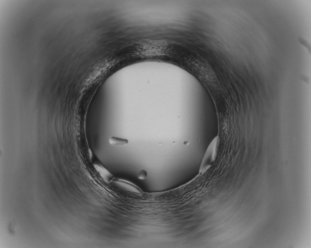 X0000097990732200804141141