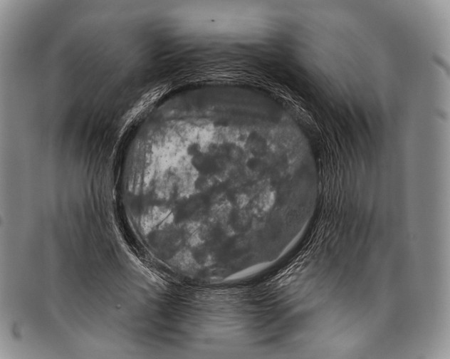 X0000097990734200804141141