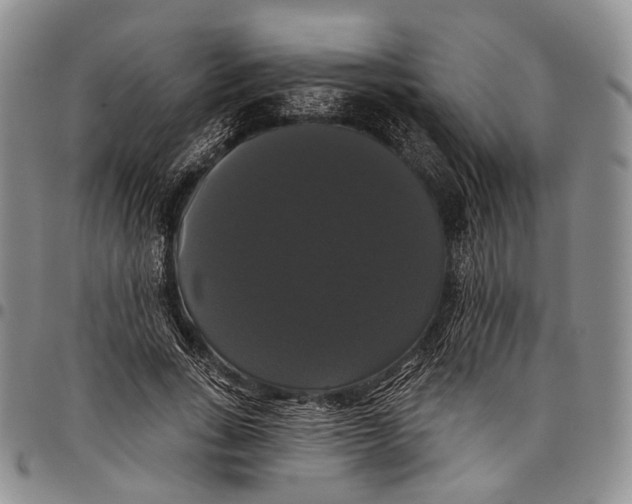 X0000097990735200804141141