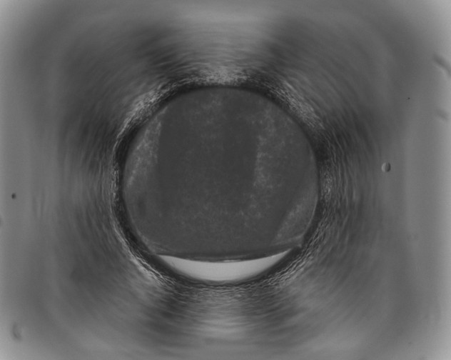 X0000097990736200804141141
