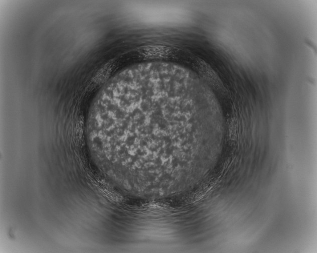 X0000097990737200804141141