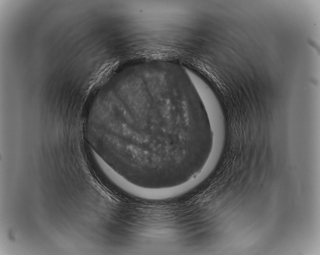 X0000097990738200804141141