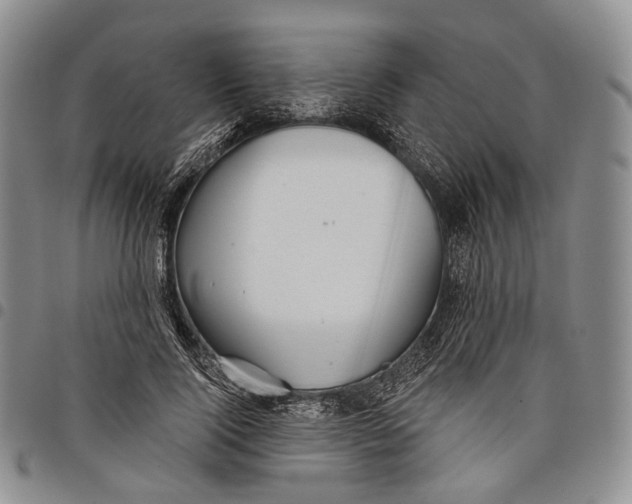 X0000097990740200804141141