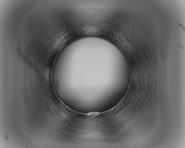 X0000097990744200804141141