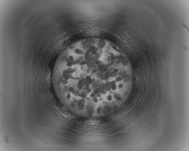 X0000097990745200804141141