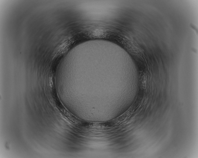 X0000097990746200804141141