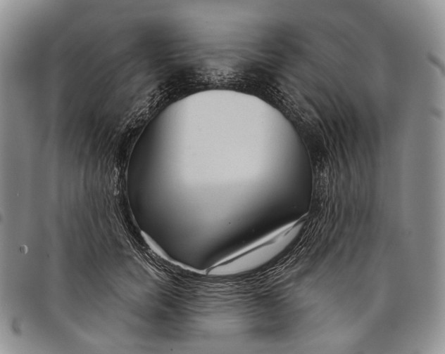 X0000097990750200804141141