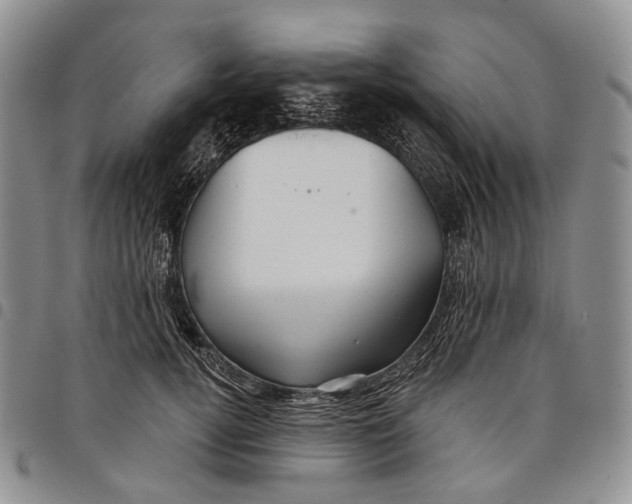 X0000097990752200804141141