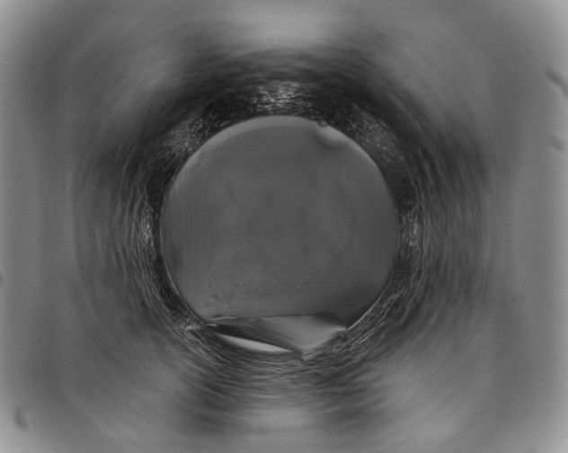 X0000097990754200804141141