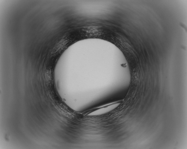 X0000097990756200804141141