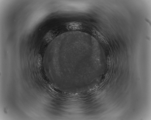 X0000097990760200804141141