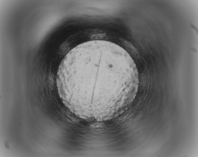 X0000097990761200804141141
