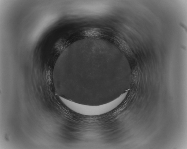 X0000097990762200804141141