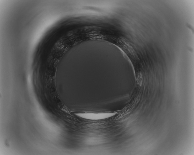 X0000097990763200804141141