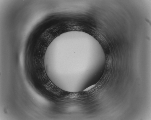 X0000097990764200804141141