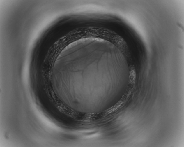 X0000097990765200804141141