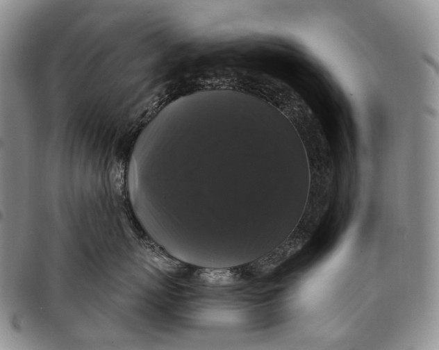 X0000097990767200804141141