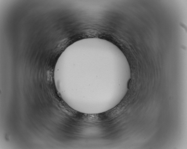 X0000097990768200804141142