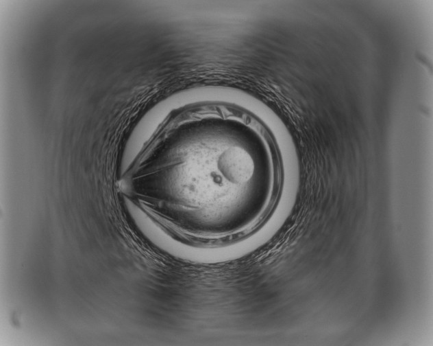X0000097990769200804141141
