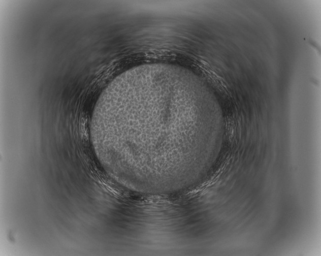 X0000097990770200804141141