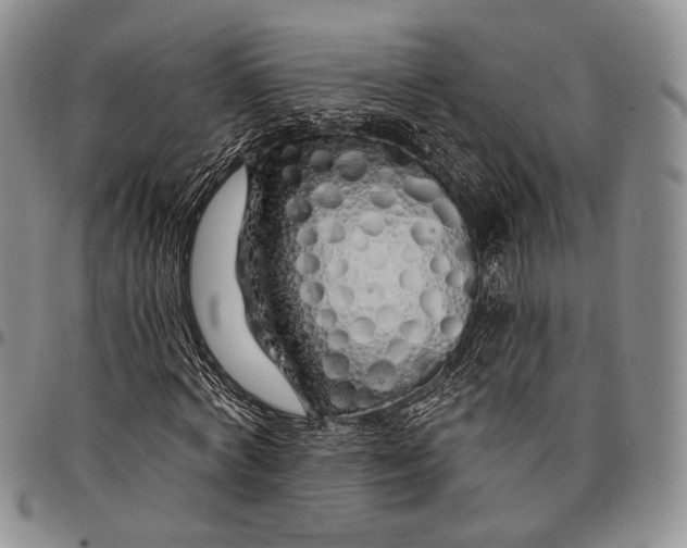 X0000097990772200804141141