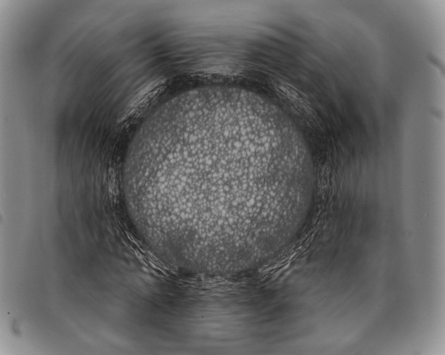 X0000097990774200804141141