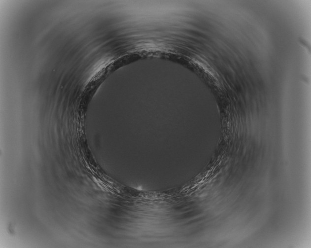 X0000097990775200804141141
