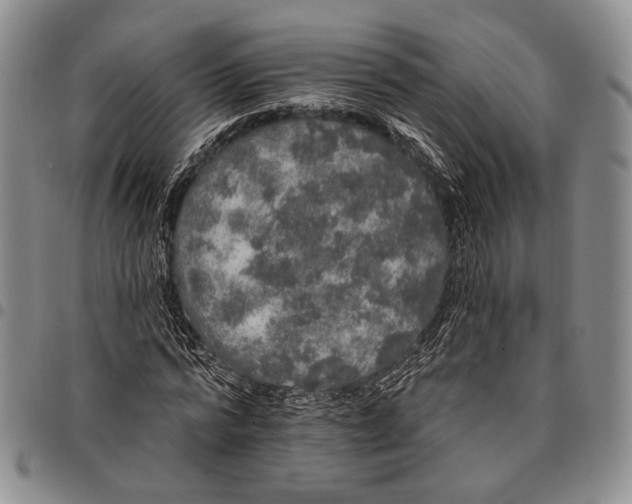 X0000097990776200804141141