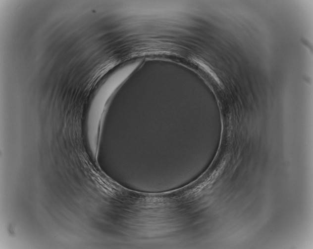 X0000097990777200804141141