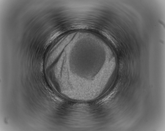 X0000097990778200804141141